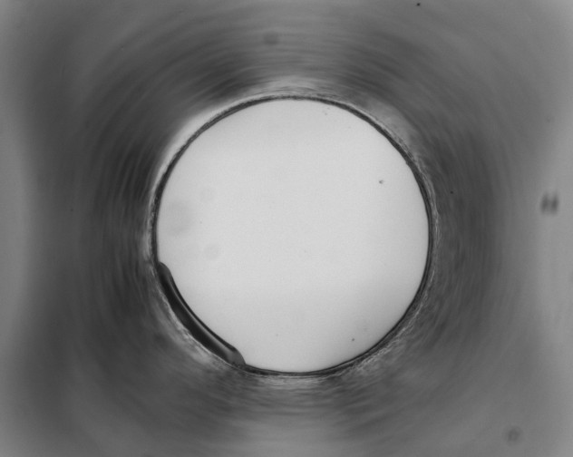 X0000097921296200804041515