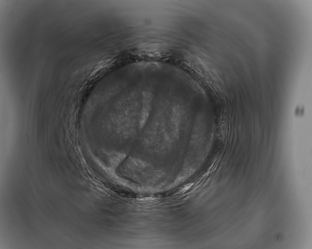 X0000097921297200804041515