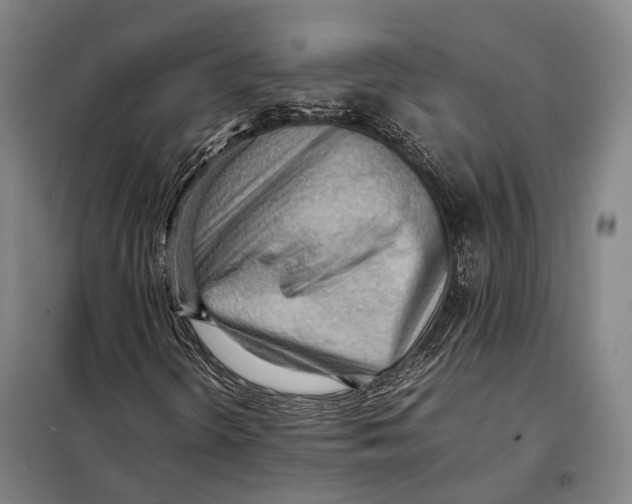 X0000097921298200804041515