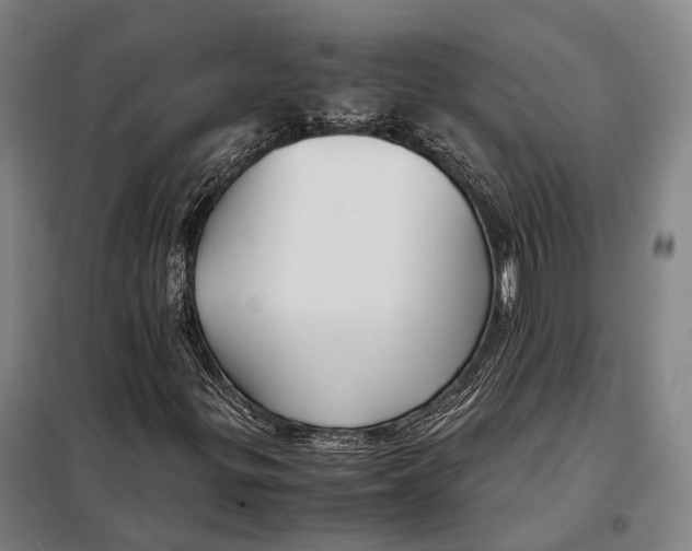 X0000097921299200804041515