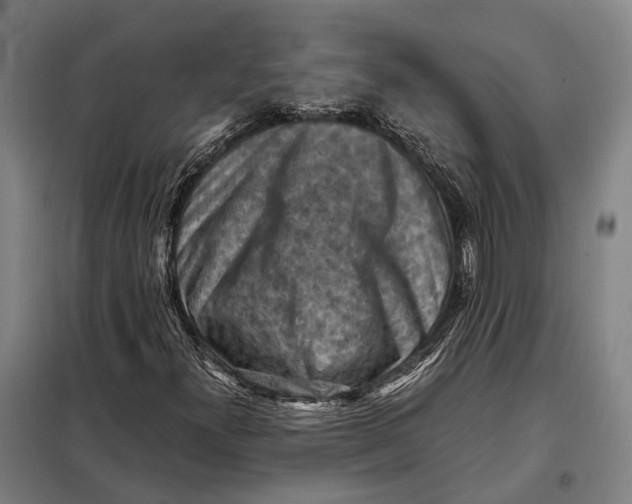 X0000097921300200804041515