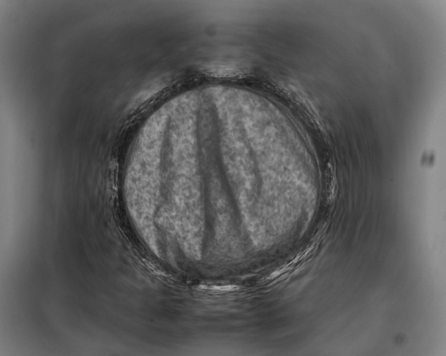 X0000097921301200804041515