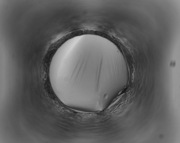 X0000097921303200804041515