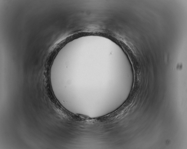 X0000097921304200804041515