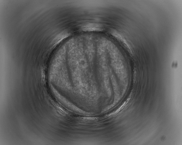 X0000097921305200804041515