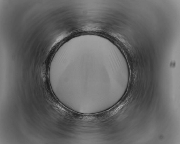 X0000097921306200804041515