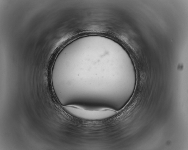 X0000097921307200804041515