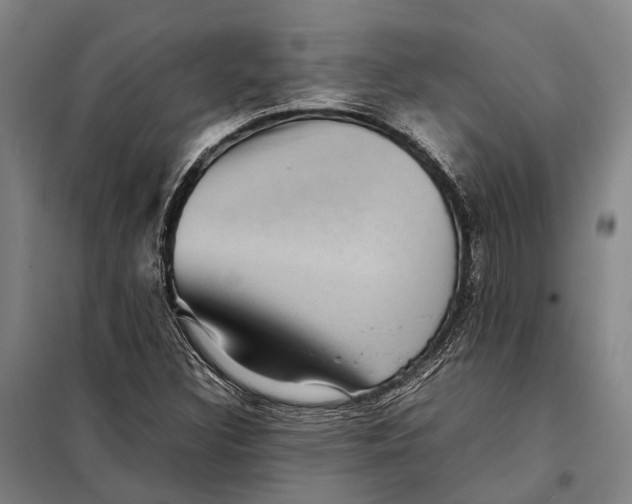 X0000097921308200804041515