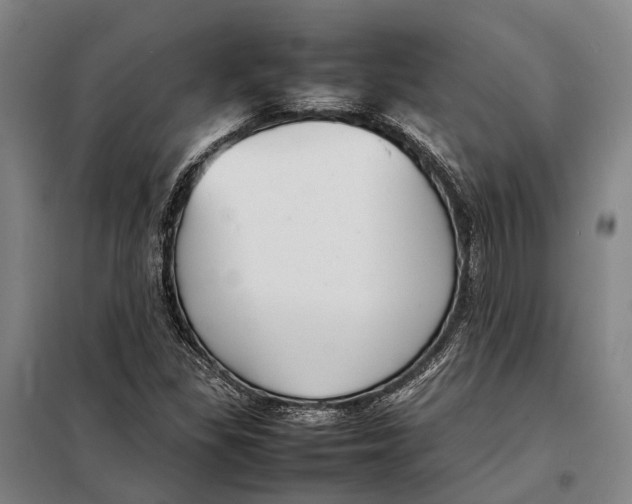 X0000097921309200804041515