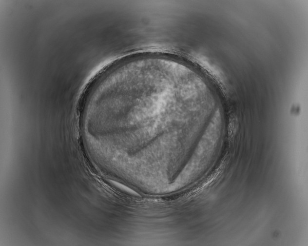 X0000097921310200804041515