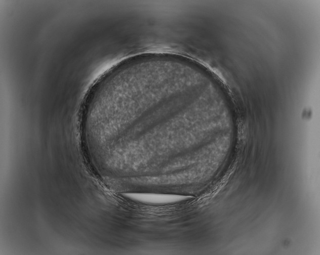 X0000097921311200804041515