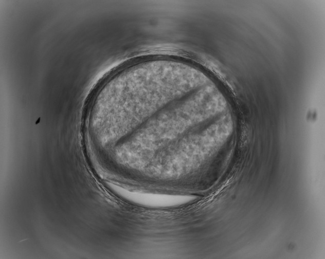 X0000097921312200804041515