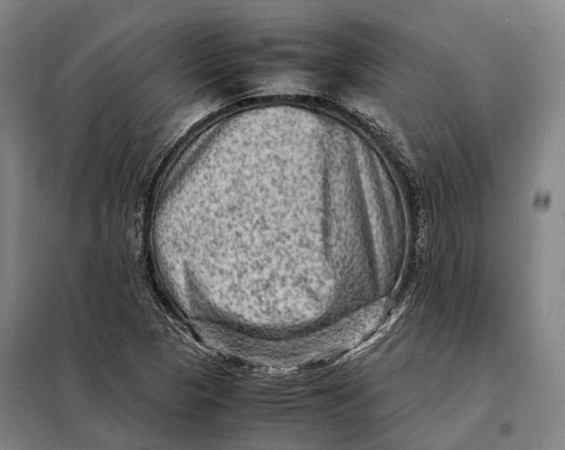 X0000097921313200804041515