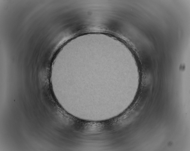 X0000097921314200804041515