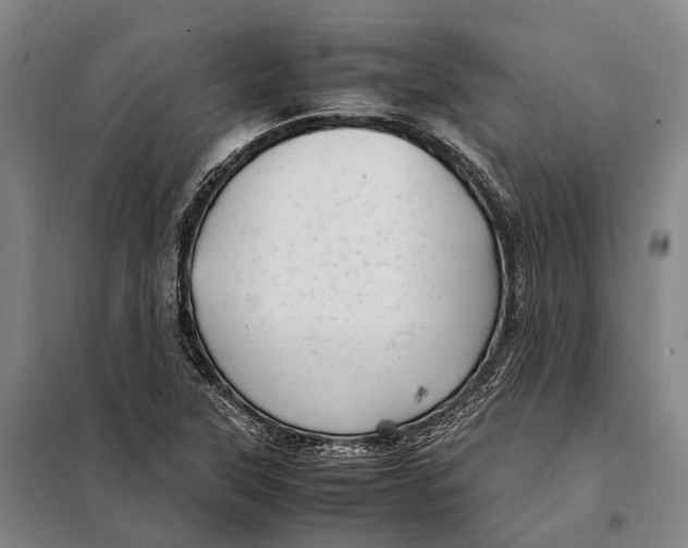 X0000097921315200804041515