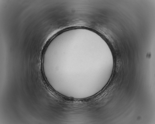 X0000097921316200804041515