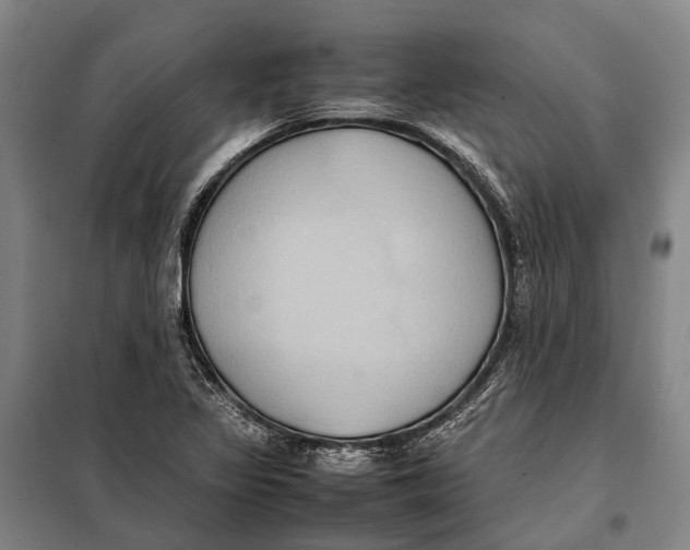 X0000097921317200804041515