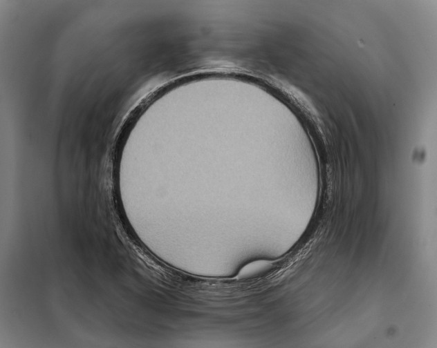 X0000097921318200804041515