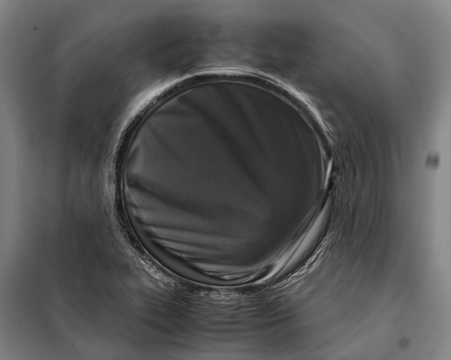 X0000097921319200804041515