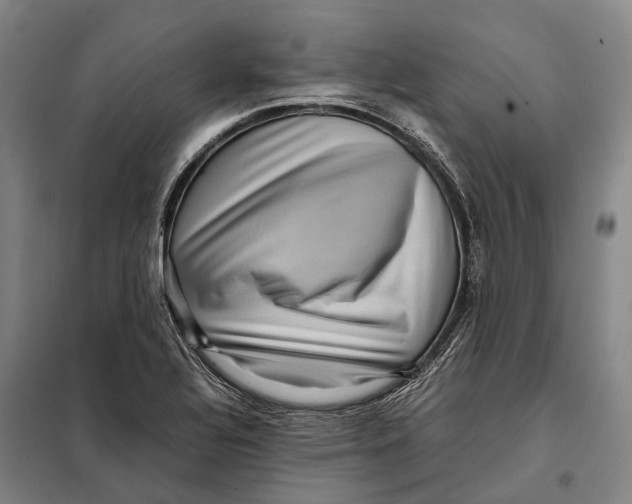 X0000097921320200804041515