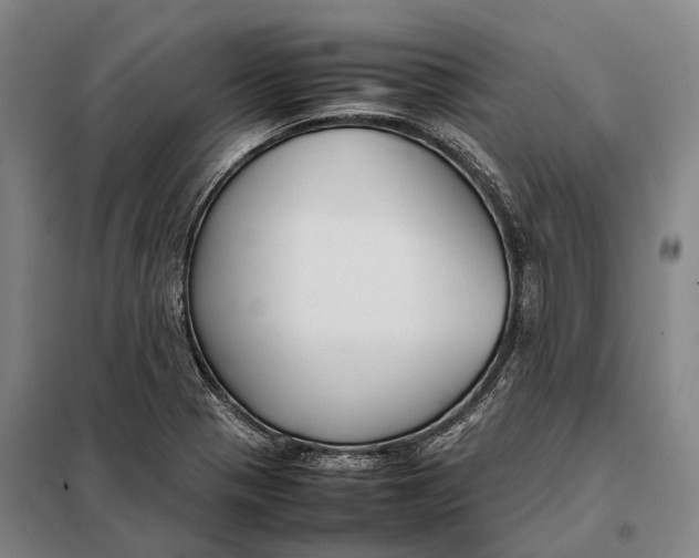 X0000097921321200804041515