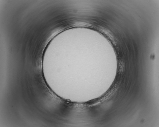 X0000097921322200804041515