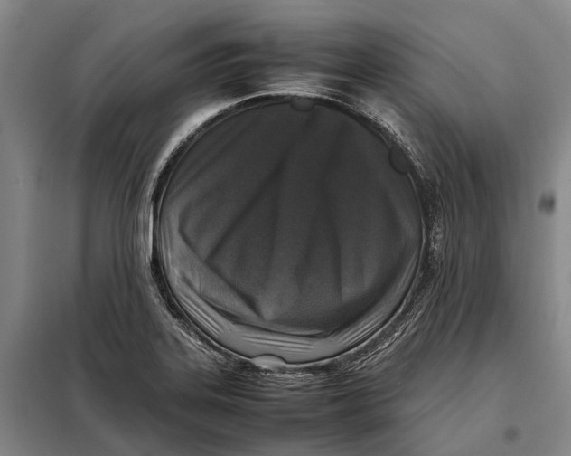 X0000097921323200804041515