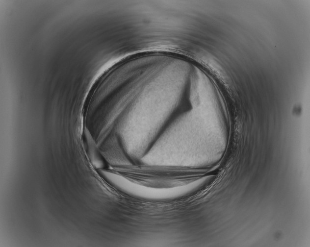 X0000097921324200804041515