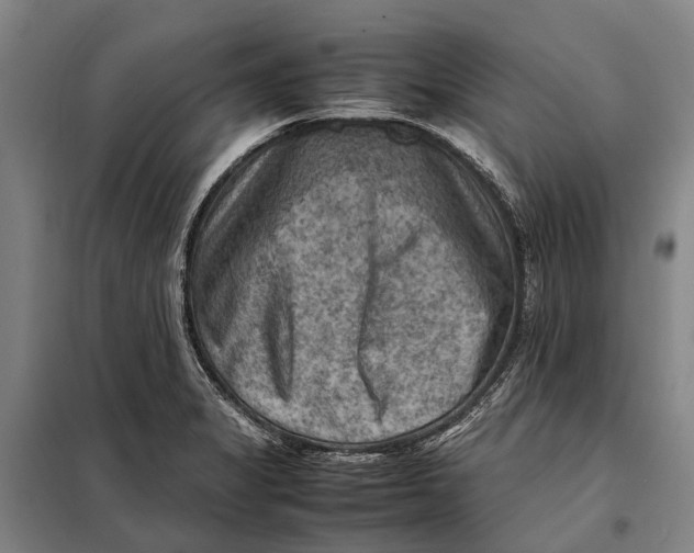 X0000097921325200804041515