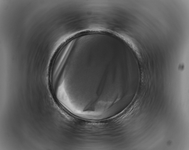 X0000097921327200804041515