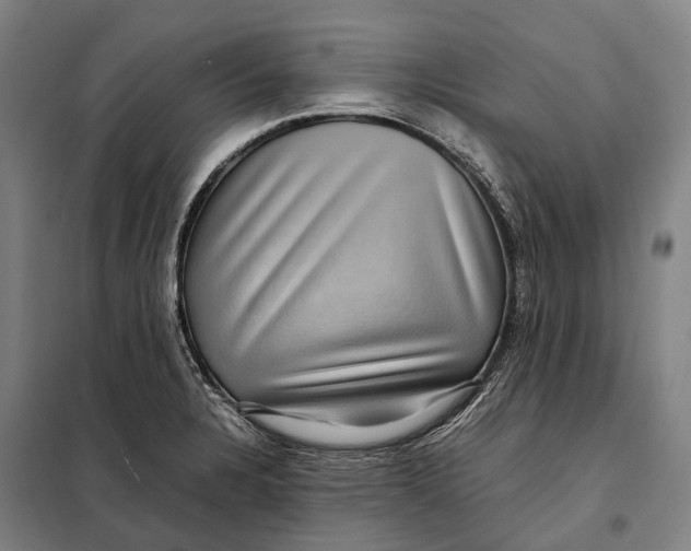 X0000097921328200804041515