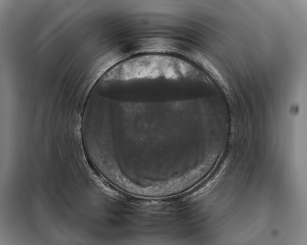 X0000097921329200804041515