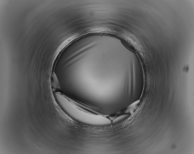 X0000097921330200804041515