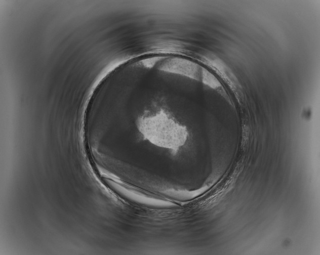 X0000097921331200804041515