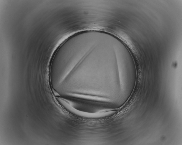 X0000097921332200804041515