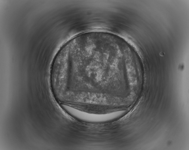 X0000097921333200804041515