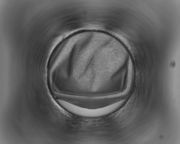 X0000097921335200804041515