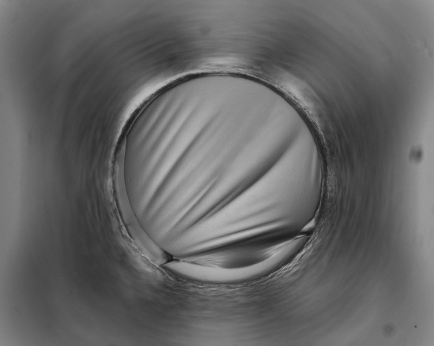 X0000097921336200804041515