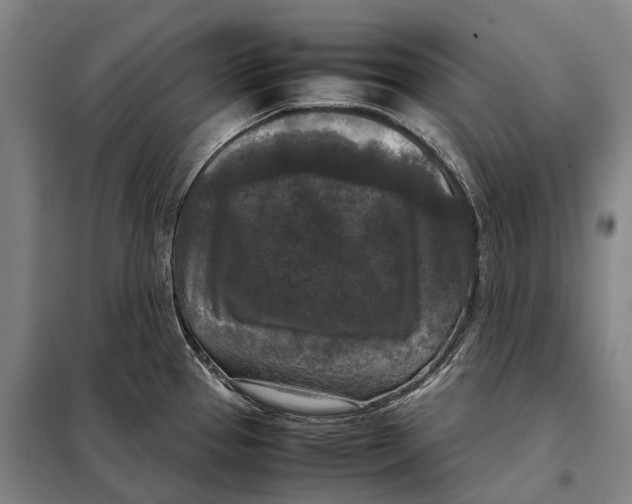 X0000097921337200804041515