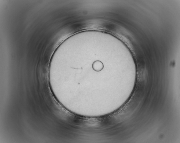 X0000097921338200804041515