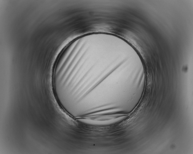 X0000097921339200804041515