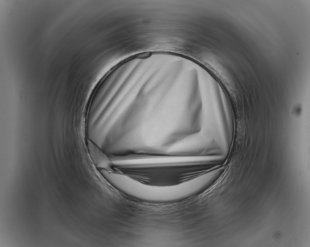 X0000097921340200804041515