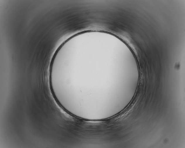 X0000097921343200804041515