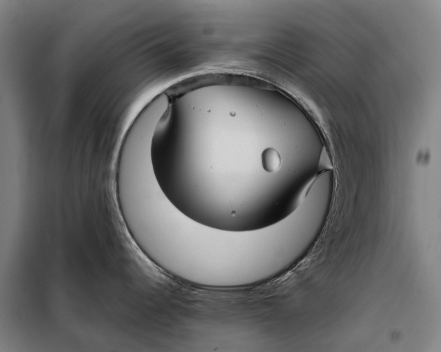 X0000097921344200804041515