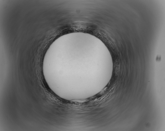 X0000097921345200804041515