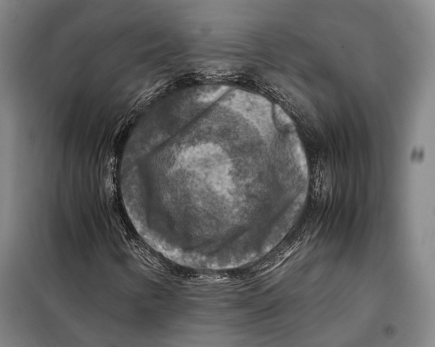 X0000097921346200804041515