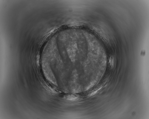 X0000097921348200804041515