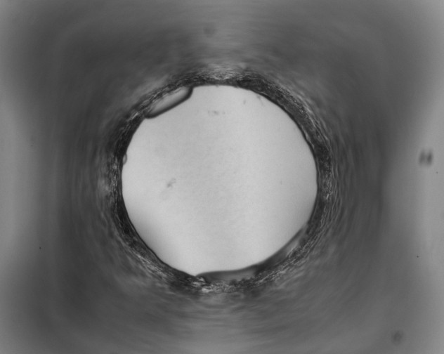 X0000097921349200804041515