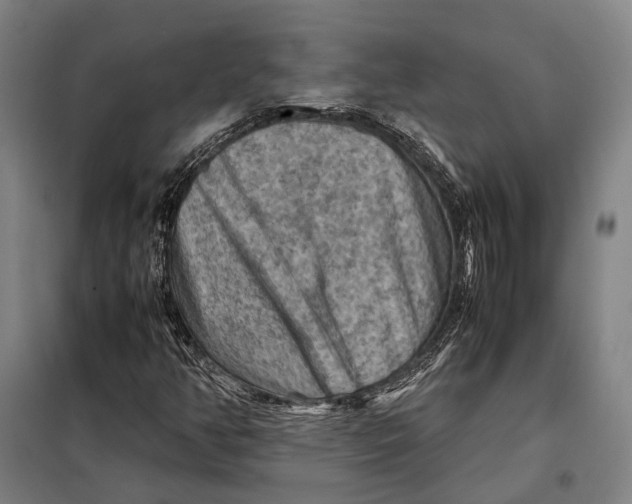 X0000097921350200804041515