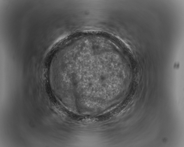 X0000097921351200804041515